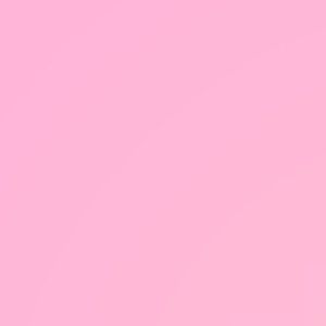 Meet your Posher, Ella